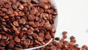 pIp Date puq Extract