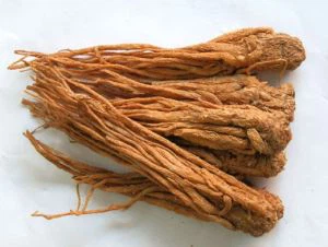Dong Quai Extract