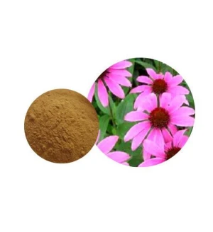 Coneflower þykkni