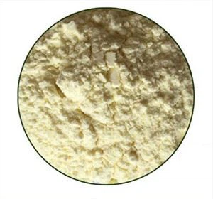 Frystþurrkað Royal Jelly Powder
