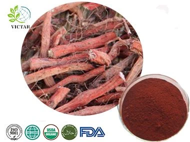 Salvia Miltiorrhiza þykkni