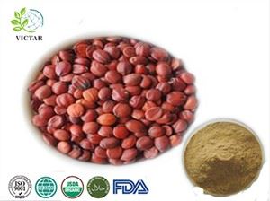 Wild Jujube Extract