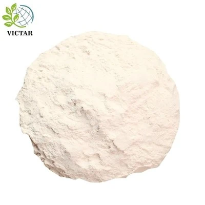 Poria Cocos duft